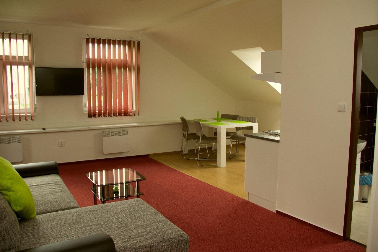 Apartmany Stone Vrbno pod Pradědem Exterior foto